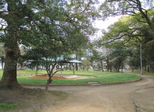 大宮公園