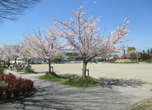 平島公園(ひらしまこうえん)