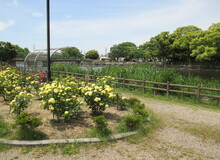 浅井山公園