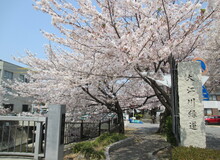 大江川緑道(おおえがわりょくどう)