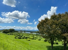 木曽川緑地公園