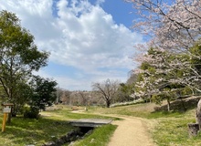 大野極楽寺公園